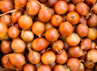 Taze çiğ soğan (Allium cepa). Doku, arka plan. Üst manzara, düz uzanma