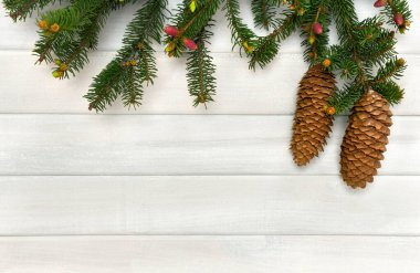 Kozalaklar ve dal dalları arka planda beyaz boyalı ahşap tahtalar ve yazı için yer var. Üst manzara, düz yatış. Noel süslemesi