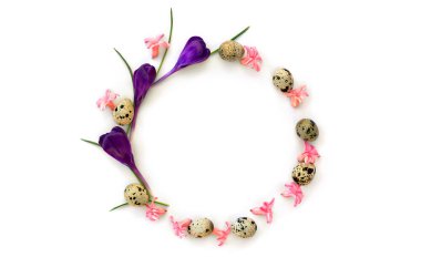 Beyaz zemin üzerinde pembe çiçekli sümbül, mor timsah ve bıldırcın yumurtalarından oluşan daire şeklinde bir çerçeve. Üst manzara, düz uzanma