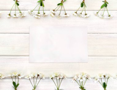 Beyaz boyanmış tahtaların arka planında çiçek kiraz ağacı çerçevesi ve metin için yeri olan boş bir çarşaf. Üst manzara, düz uzanma