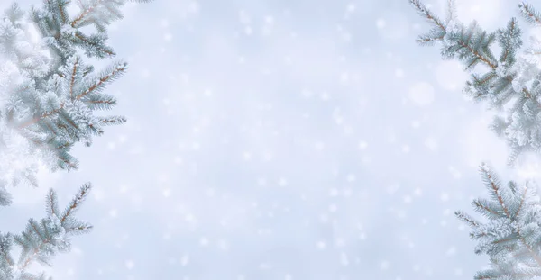 Twigs Christmas Tree Bedekt Hearfrost Sneeuw Een Sneeuwval Achtergrond Met — Stockfoto