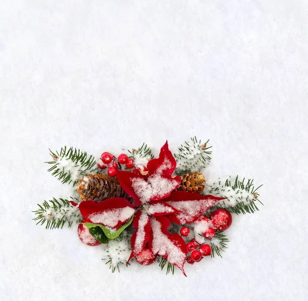 Christmas Decoration Flower Red Poinsettia Twigs Christmas Tree Christmas Red — Stock Photo, Image