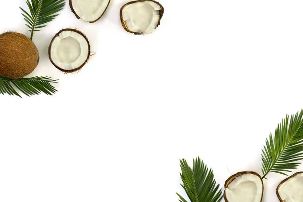 Coco Cocos Nucifera Com Metades Folhas Palma Sobre Fundo Branco — Fotografia de Stock