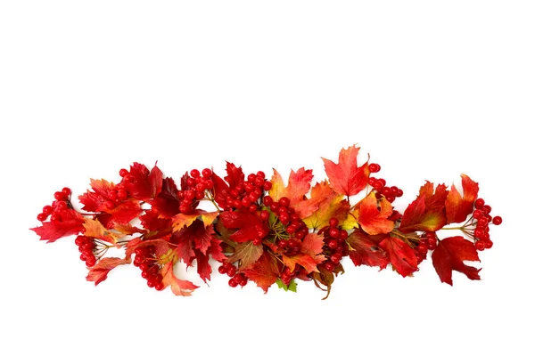 Kırmızı Sonbahar Yaprakları Viburnum Viburnum Opulus Beyaz Arkaplan Üzerinde Yazı — Stok fotoğraf