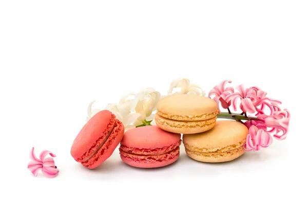 Colorful Macarons Cookie White Pink Flowers Hyacinth White Background — Stock Photo, Image