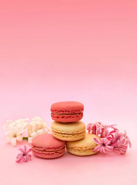 Colorful Macarons Cookie White Pink Flowers Hyacinth Coral Living Background — Stock Photo, Image