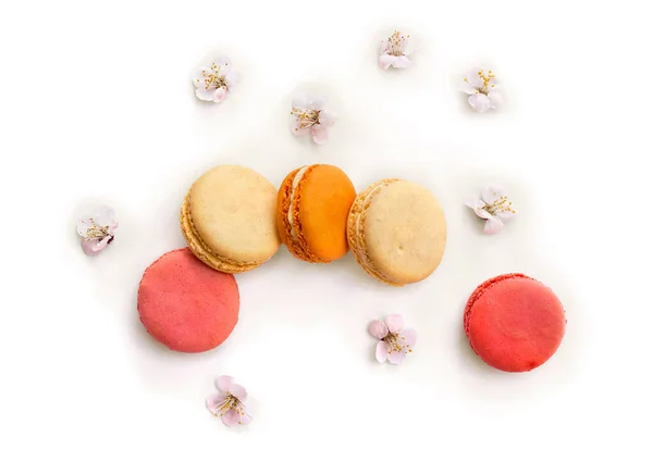 Colorful Macarons Cookie Flowers Apricot Tree White Background Top View — Stock Photo, Image