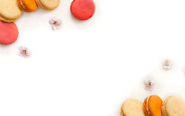 Frame Colorful Macarons Cookie Flowers Apricot Tree White Background Space — Stock Photo, Image