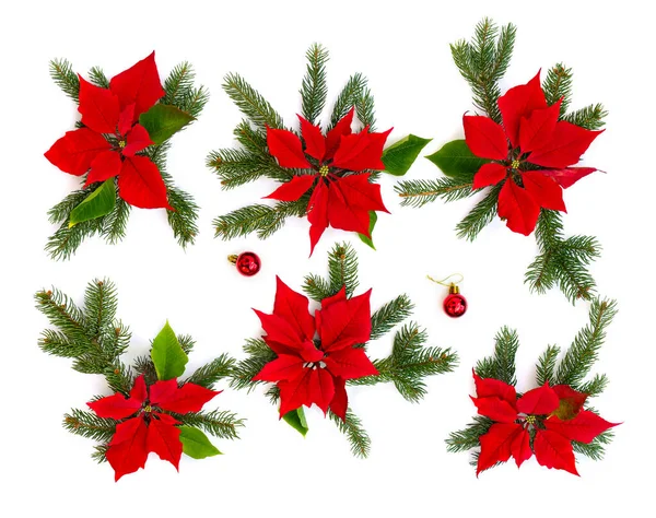 Decoración Navidad Flores Poinsettia Roja Con Ramitas Árbol Navidad Bolas — Foto de Stock