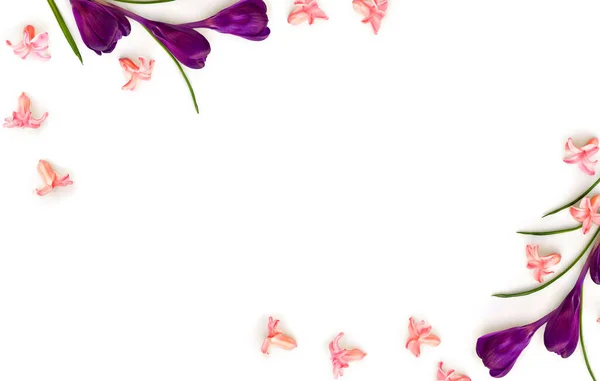 Beau Cadre Crocus Violets Fleurs Jacinthes Roses Hyacinthus Sur Fond — Photo