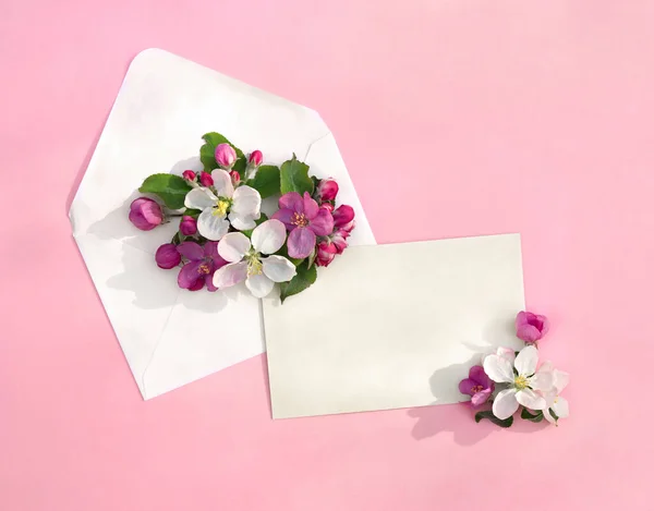 Beautiful Spring Flowers Apple Tree Postal Envelope Blank Sheet Space — Stock Photo, Image