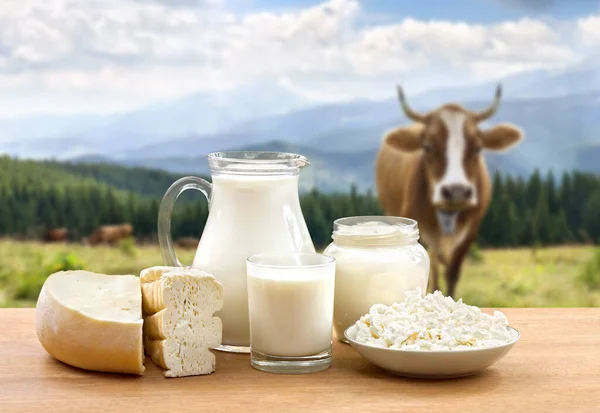 Milk, sour cream, cheese and cottage cheese on wooden table on background of meadow with cows in the mountains