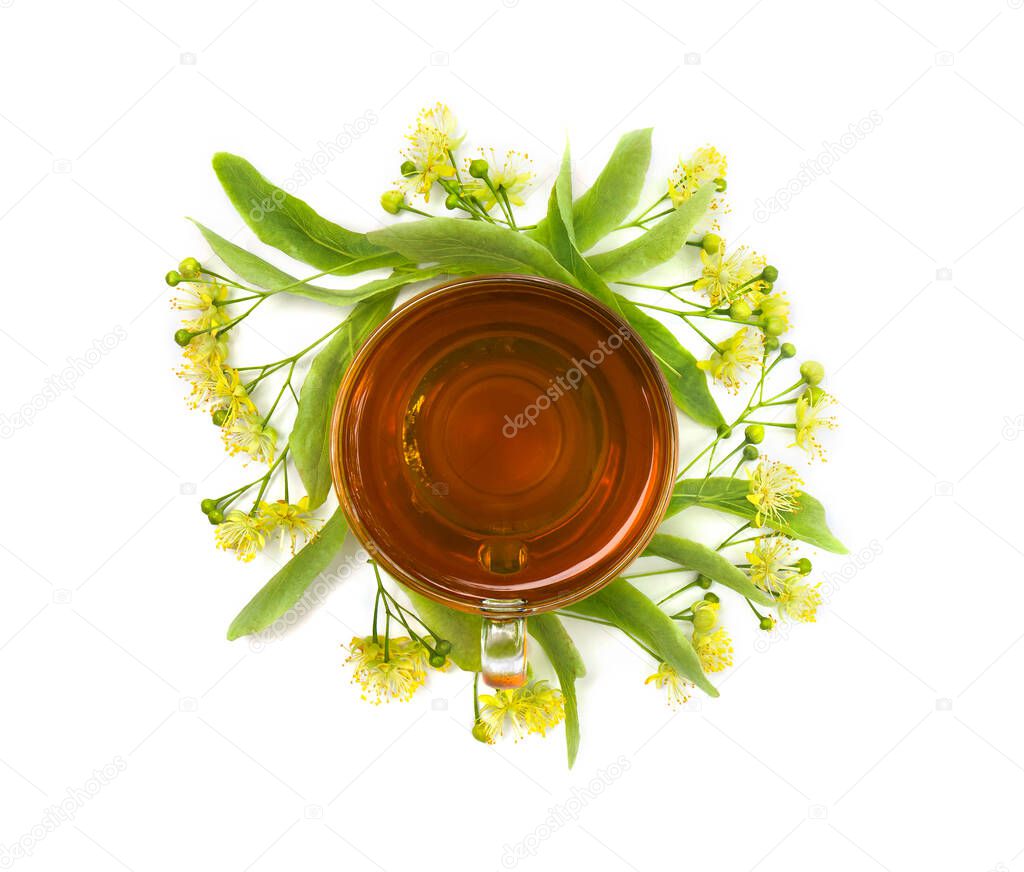 Top view of a cup herbal tea with blooming Tilia (Other names: linden, basswood) on white background. Top view, flat lay