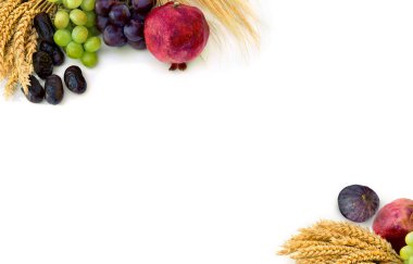 Üzümler, hurmalar, yakut yaprakları, incirler, arpa ve buğday beyaz bir zemin üzerinde yazılı. Üst manzara, düz uzanma.