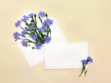Güzel mavi çiçekler keten ve posta zarfında tohum keteni olan kapsüller ve şeftali kağıdındaki yazı için boşluk olan boş çarşaf.