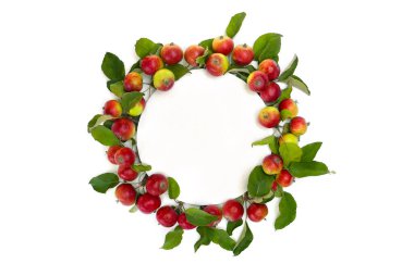 Olgun kırmızı sulu elmaların yaratıcı dekorasyonu ve beyaz arkaplandaki yazı için boşluğu olan beyaz yuvarlak kağıtlı yapraklar. Üst manzara, düz uzanma