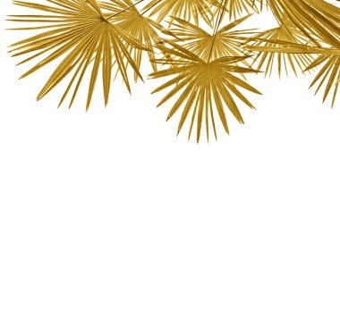 Beyaz arka planda tropik altın palmiye yaprakları ve metin için boşluk. Üst manzara, düz uzanma