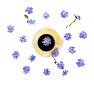 Beyaz arka planda hindiba ve çiçek hindibaslı (Cichorium intybus) bir bardak içkinin üst görüntüsü. Üst manzara, düz uzanma