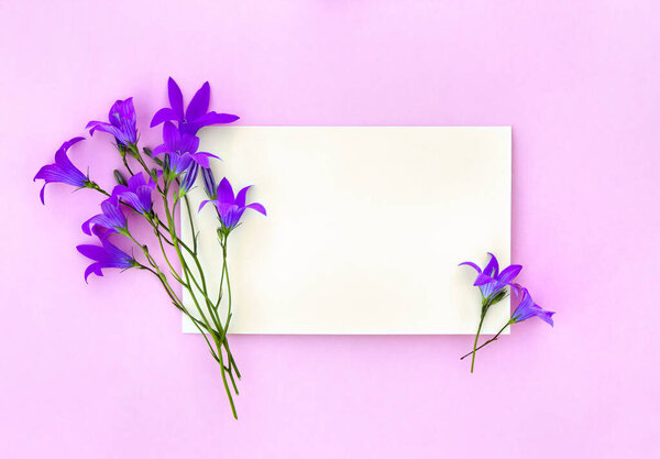 Beautiful flowers violet bellflowers and blank sheet with space for text on a pink paper background. Top view, flat lay