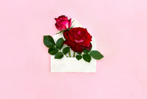 Krásné Květiny Červené Růže Poštovní Obálce Růžovém Papíře Pozadí Pohled — Stock fotografie