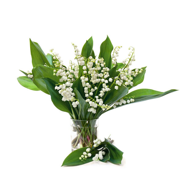 Bouquet of flowers and leaves lily of the valley ( Convallaria majalis ) in small glass on white background