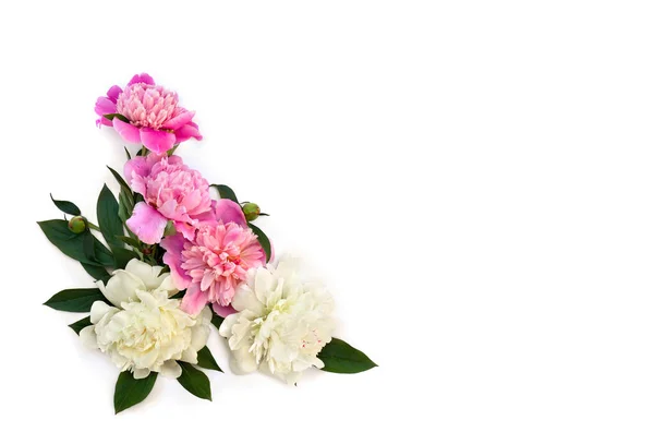 Bouquet of pink and white peonies on a white background with space for text. Top view, flat lay