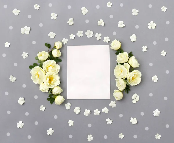 Frame of white roses (Burnet double white, shrub rose) white flowers viburnum and white circles on a gray background and blank with space for text. Top view, flat lay