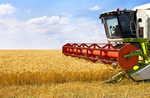 Kombinera Skörd Vete Vetefält Veteskörd — Stockfoto