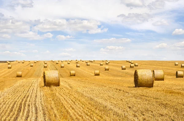 Field Straw Bales Harvest Background Cloudy Sky — Stock Photo, Image