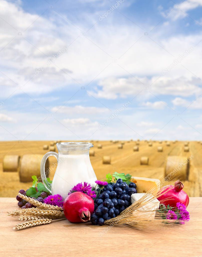 Grapes, garnets, milk in a pitcher, yellow and white cheese, pink flowers, barley and wheat on wooden table on a background field wheat.