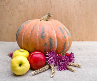 Balkabağı, buğday, elma ve çiçekler masada yazı için yer var. Şükran Günü hazırlıkları.