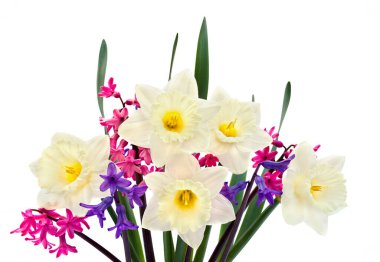 Beyaz arka planda narsisli ve sümbül buketi ve metin için yer var.