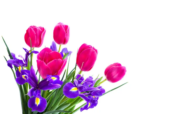 Ramo Tulipanes Rosados Iris Bulboso Sobre Fondo Blanco Con Espacio —  Fotos de Stock