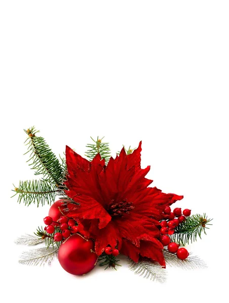 Decoração Natal Flor Poinsettia Vermelho Árvore Natal Ramo Bola Natal — Fotografia de Stock