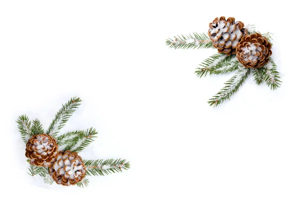 Cones Pine Branch Christmas Tree Snow White Background Space Text — Stock Photo, Image