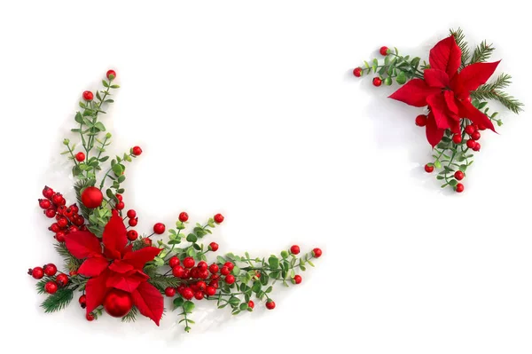 Christmas Decoration Frame Flowers Red Poinsettia Branch Christmas Tree Red — Stock Photo, Image