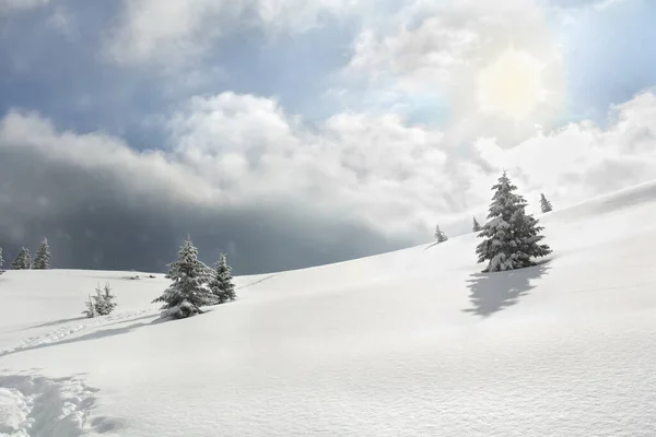 Winterlandschap Van Bergen Met Van Dennenboom Glade Sneeuw Met Pad — Stockfoto