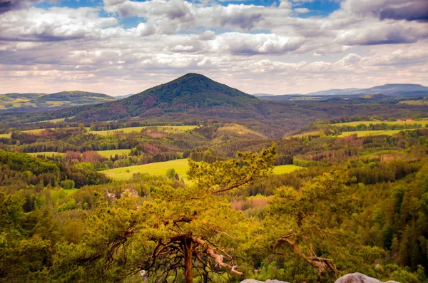 Bohemian Switzerland National Park — Stock Photo, Image