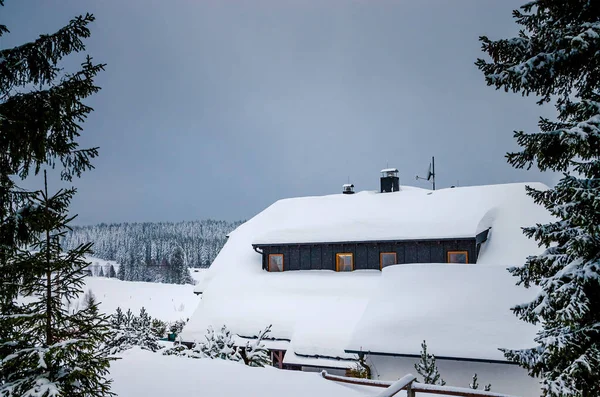 Sumava República Checa Casa Solitaria Medio País Las Maravillas Invierno — Foto de Stock