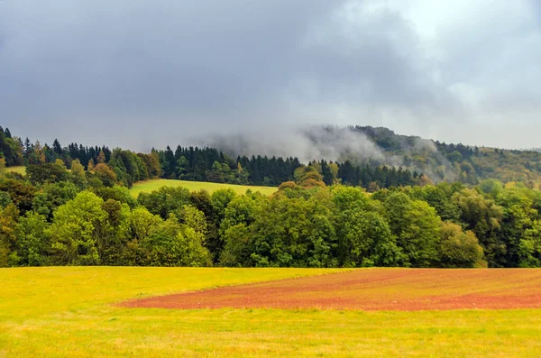 Nebbia Nella Foresta Autunnale — Foto Stock