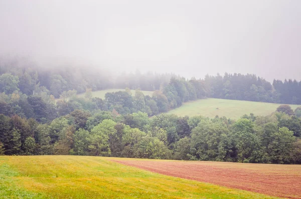 Nebbia Nella Foresta Autunnale — Foto Stock