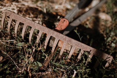 Meyve bahçelerinde sebze yetiştirmek için tırmık.