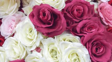 pembe ve beyaz yapay gül arkaplanı