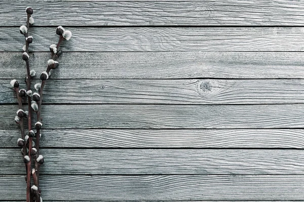 灰色木制背景的柳枝 — 图库照片