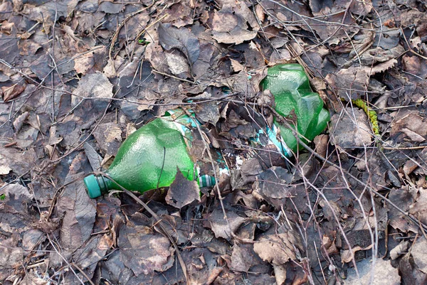Botella Plástico Dejada Bosque Primavera Entre Hojas Caídas — Foto de Stock
