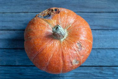 Ahşap masada çürük kenarlı turuncu balkabağı. Doğal olarak sebzeleri depolama ve buzdolabı olmadan taze tutma yolları.
