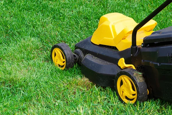 Çim biçme makinesi yeşil çimlerde çalışıyor