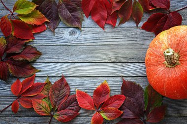 Parlak sonbahar yaprakları ve ahşap zemin üzerinde balkabağı yerleşimi