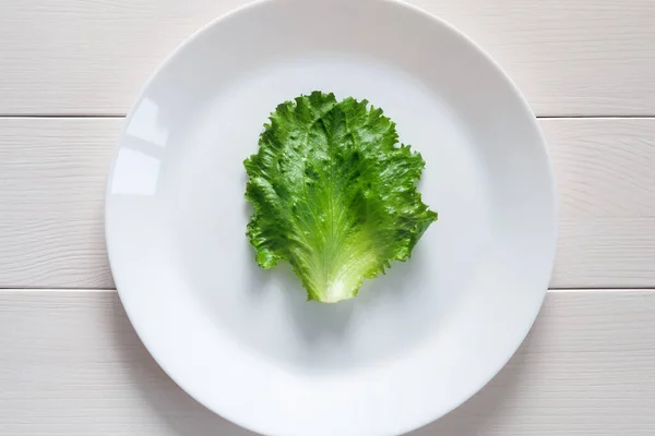 One Green Lettuce Leaf White Plate Top View — Stock Photo, Image