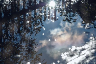 Su birikintisinde yansıma - çit, ağaçlar ve yağmurdan sonra güneşli gökyüzü